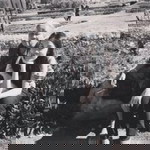 Ben Ka Puifai profile icon