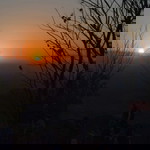 Azizah NR profile icon