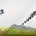 Nur Farah Atiqah profile icon