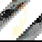 Raefa Ainani profile icon