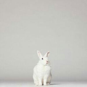 noor fazura profile icon