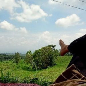 Muhamad Imron Fauzi profile icon