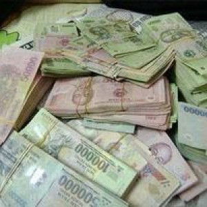 Nguyễn Thu Trang profile icon