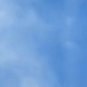 Risti Anggraini profile icon