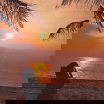 Fara apriyati profile icon