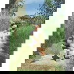 Prangwalee Yimsap profile icon