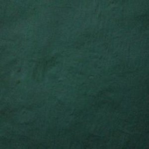 eka dian profile icon