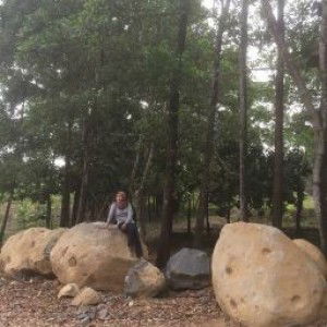 Anisah Niez profile icon