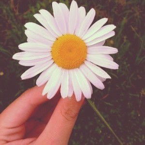 Izni Syamimi Nadhirah Safrudin profile icon