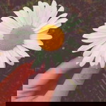 Izni Syamimi Nadhirah Safrudin profile icon