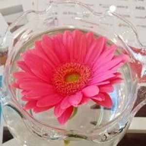 Tiến Nhung Nhật profile icon