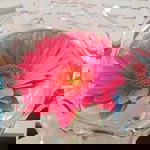 Tiến Nhung Nhật profile icon