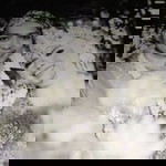 Wulan Yuniarti profile icon