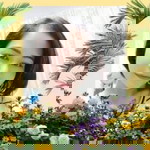 Supawan Darasim profile icon