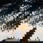 Cahaya Terpuji profile icon