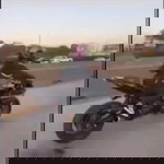 Camille Castañeda profile icon