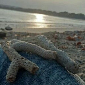 khoirunnisa' nisa profile icon