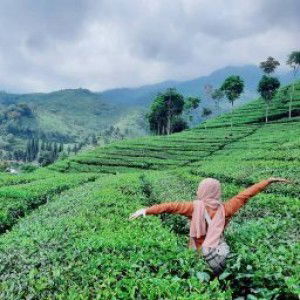 Tri Wulandari profile icon