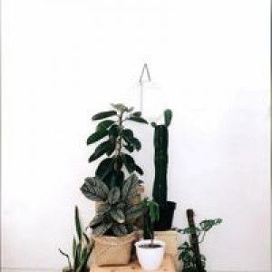 Nanda Heriya profile icon