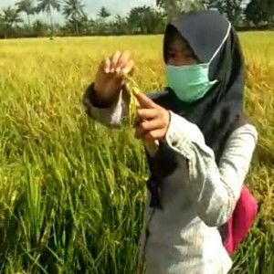 Dindong 98 profile icon