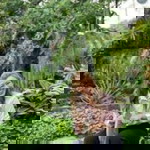 Phenphon Serikun profile icon