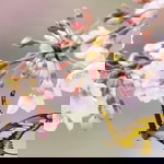 Sinta Sukma Ayu profile icon