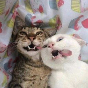 Desi Kurniasari profile icon