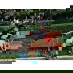 Donna May Dumalanta profile icon