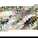 Chintyaa Whihelminna Rhugarry profile icon