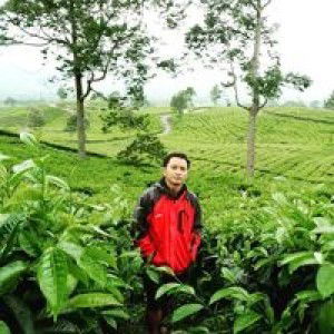 Abdul Hamid profile icon