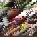 เอมฤดี สุวรรณศรี profile icon