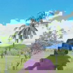 Nha Ienha profile icon