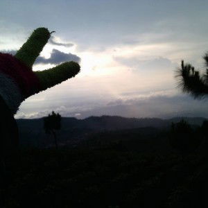 Friska Agustin profile icon