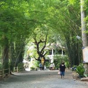 Mim Mim Mim profile icon