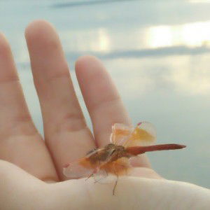 เด็กน้อย ในโลกกว้างใหญ่ profile icon