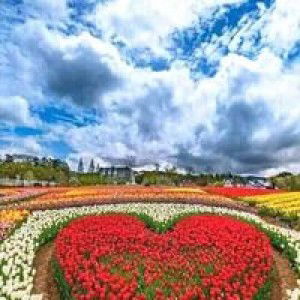 MaLa Khumayro'bilqyst Roja'tukhusnulkhotiimah profile icon