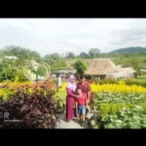 Ria Hairul Ardila profile icon