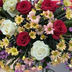 Anh 277 profile icon