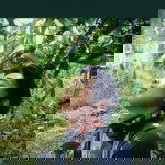 Dian Hengki Oktori profile icon