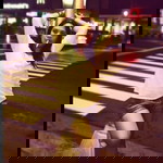 Ma. Cristina Donafel Simbre profile icon