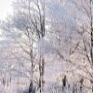 sitinurshuhada Shaaran profile icon