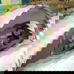 Cua's Family profile icon