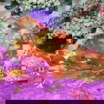 Dalulu Burinty profile icon