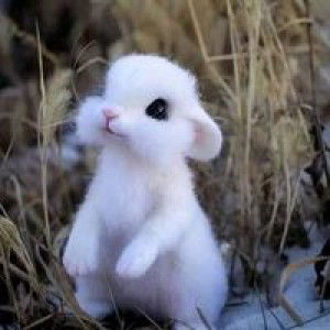 Azrinaa Ririnn profile icon