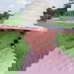 Nantida Kss profile icon