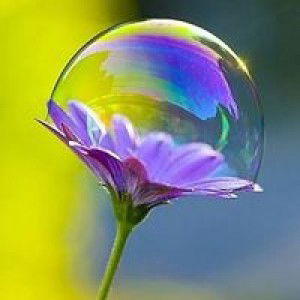 Farzana Shanta profile icon