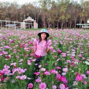 Pureriku Jonjaran profile icon