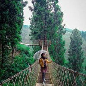 Sriee Bae Akh profile icon