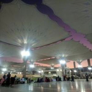 Wildania Sholikhah profile icon