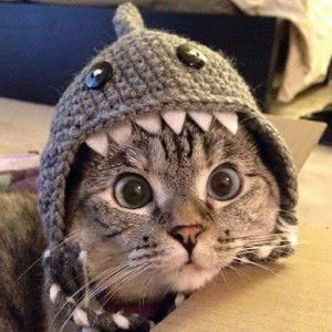 Jpixel gene profile icon